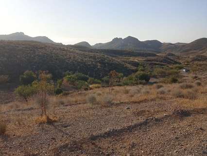 Parcela rústica en venta en Lorca