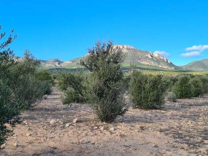 Parcela rústica en venta en Lorca