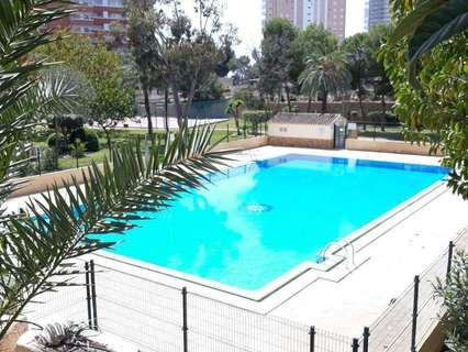 Apartamento en alquiler en Benidorm