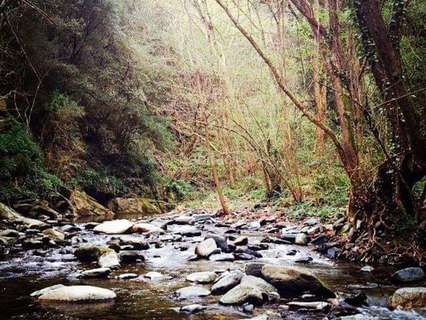 Piso en venta en Sant Esteve de Palautordera