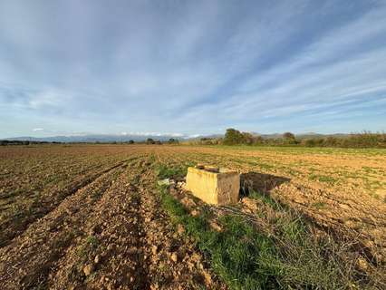 Parcela rústica en venta en Garriguella