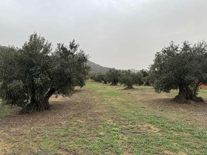 Parcela rústica en venta en Roses