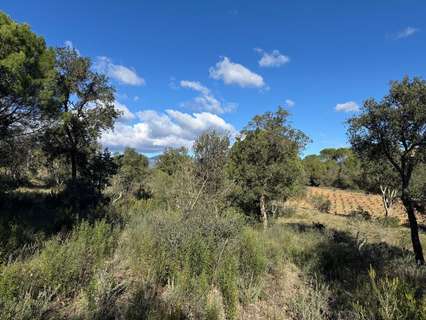 Parcela rústica en venta en Rabós