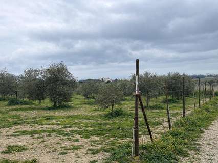 Parcela rústica en venta en Roses