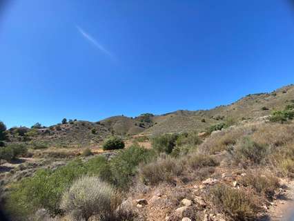 Parcela rústica en venta en Lorca