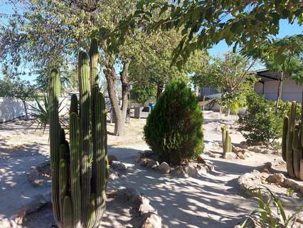 Local comercial en venta en Baza