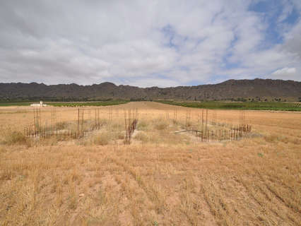 Parcela rústica en venta en Yecla