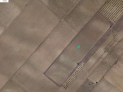 Parcela rústica en venta en Yecla