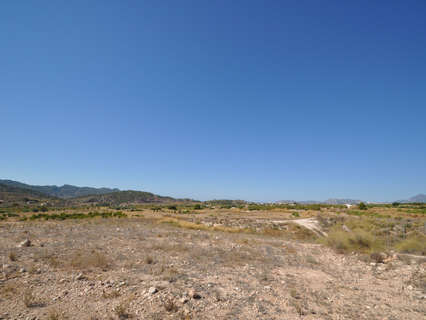 Parcela rústica en venta en Abanilla