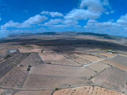 Parcela rústica en venta en Yecla