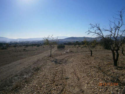 Parcela rústica en venta en Yecla