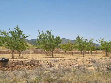 Parcela rústica en venta en Yecla