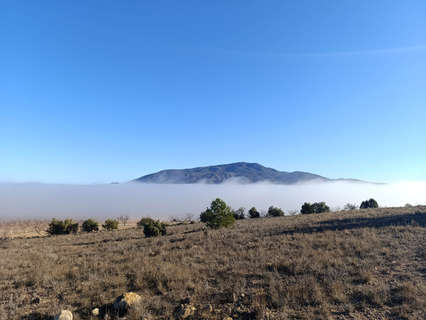 Parcela rústica en venta en Yecla
