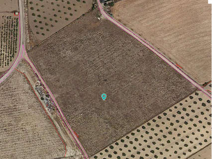 Parcela rústica en venta en Jumilla