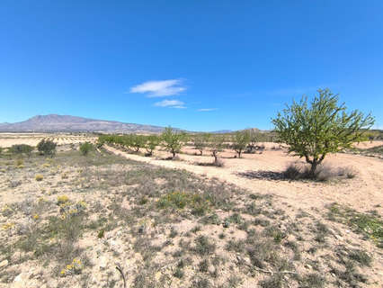Parcela rústica en venta en Jumilla