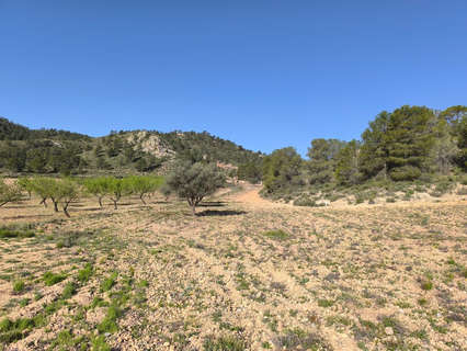 Parcela rústica en venta en Yecla