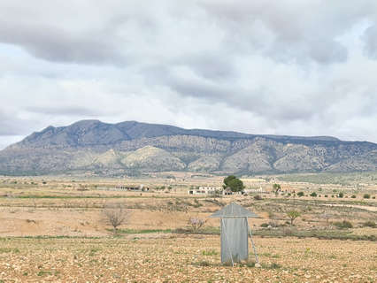 Parcela rústica en venta en Jumilla