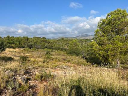 Parcela urbana en venta en Cheste