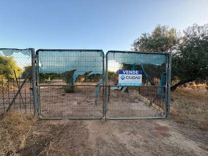 Parcela rústica en venta en Morón de la Frontera