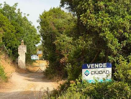 Parcela rústica en venta en Morón de la Frontera