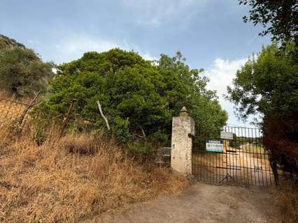 Parcela rústica en venta en Morón de la Frontera