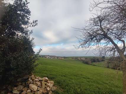 Parcela rústica en venta en Tapia de Casariego