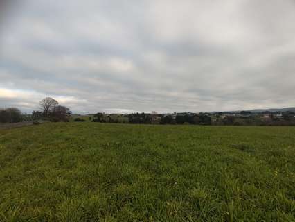 Parcela rústica en venta en Tapia de Casariego