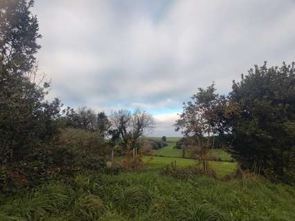 Parcela rústica en venta en Tapia de Casariego