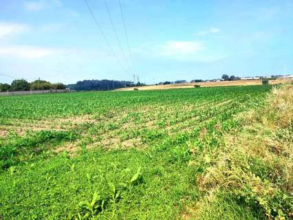 Parcela rústica en venta en Tapia de Casariego