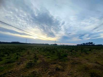 Parcela rústica en venta en Tapia de Casariego