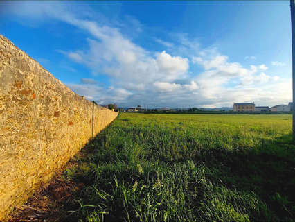 Parcela rústica en venta en Tapia de Casariego