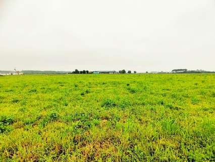 Parcela rústica en venta en Castropol