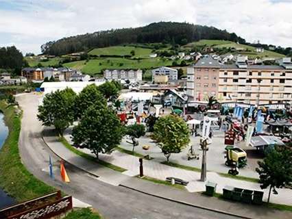 Parcela rústica en venta en Vegadeo