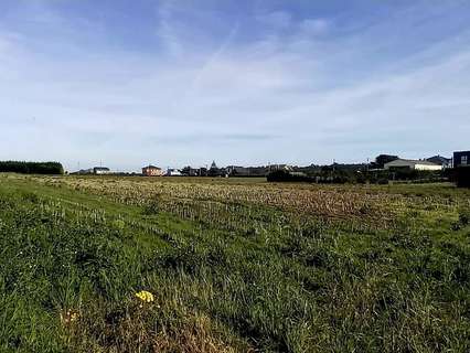 Parcela rústica en venta en Tapia de Casariego