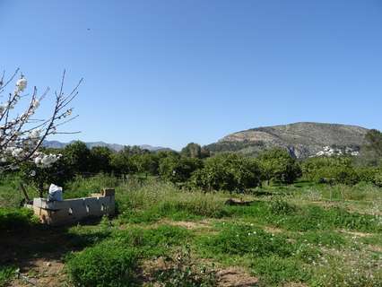 Parcela rústica en venta en Alcalalí