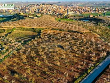 Casa en venta en Arbeca