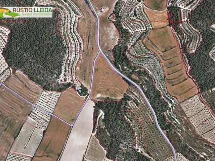 Parcela rústica en venta en Maldà