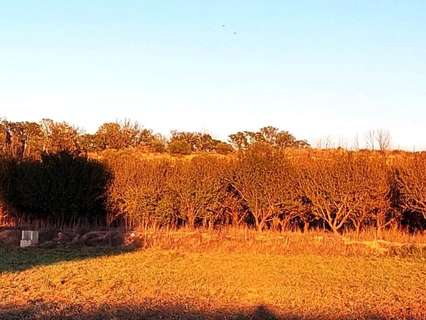 Parcela rústica en venta en Puiggròs