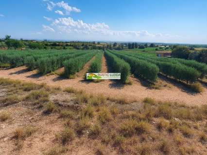 Parcela rústica en venta en Castellserà