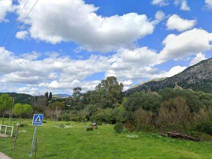 Parcela rústica en venta en Ubrique