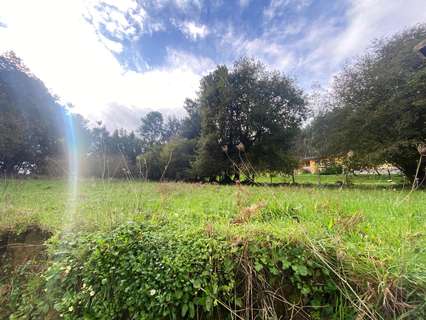 Parcela rústica en venta en Escalante