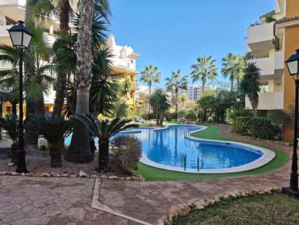 Piso en venta en Torrevieja rebajado