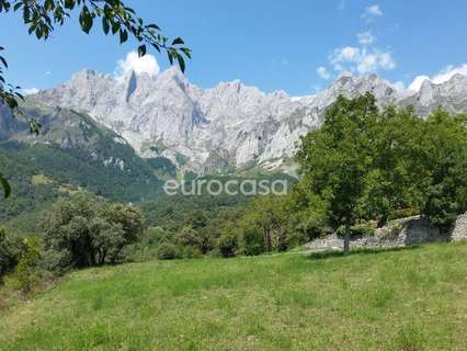 Parcela rústica en venta en Camaleño