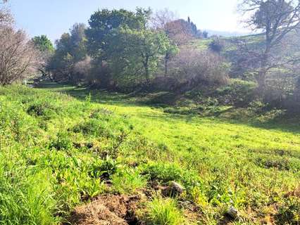Parcela rústica en venta en Villaescusa rebajada
