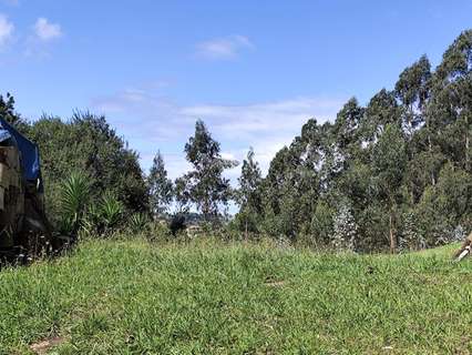 Parcela rústica en venta en Castañeda