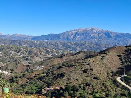 Parcela rústica en venta en Almáchar rebajada