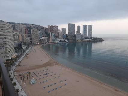 Piso en alquiler en Benidorm