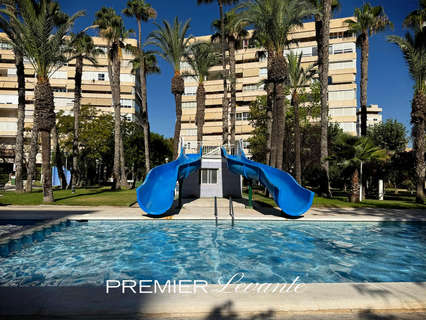 Piso en alquiler en Alicante