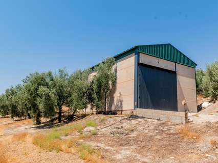 Parcela rústica en venta en Archidona