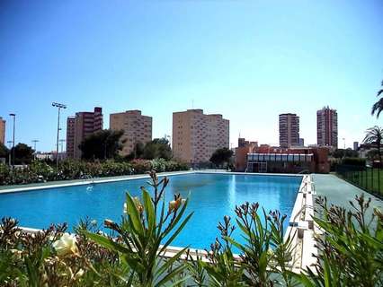 Piso en venta en Benidorm